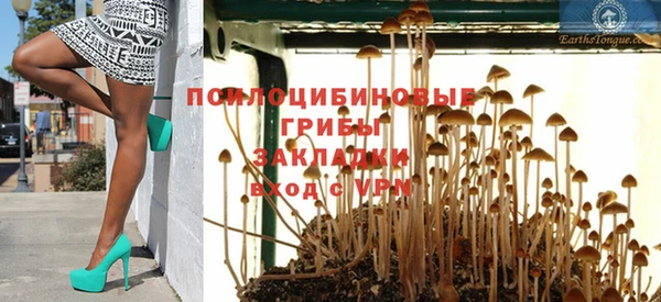 MESCALINE Аркадак