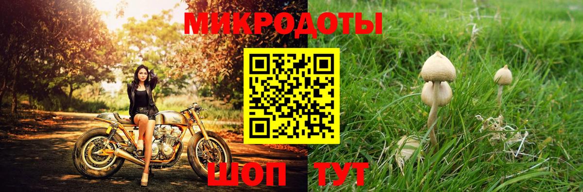 Псилоцибиновые грибы мицелий Радужный